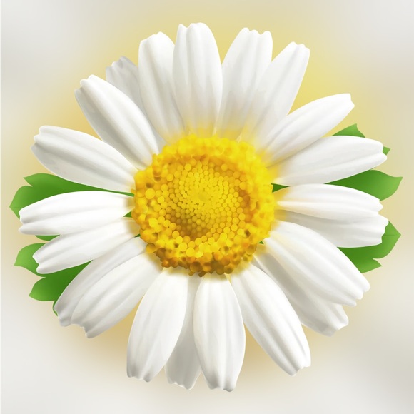 POSH LIVE Other - FASHION PULLS GALORE!!